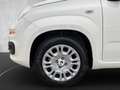 Fiat Panda MY25 Hybrid 1.0 GSE Weiß - thumbnail 18
