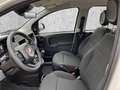 Fiat Panda MY25 Hybrid 1.0 GSE Weiß - thumbnail 11