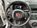 Fiat Panda MY25 Hybrid 1.0 GSE Weiß - thumbnail 13