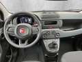Fiat Panda MY25 Hybrid 1.0 GSE Weiß - thumbnail 15