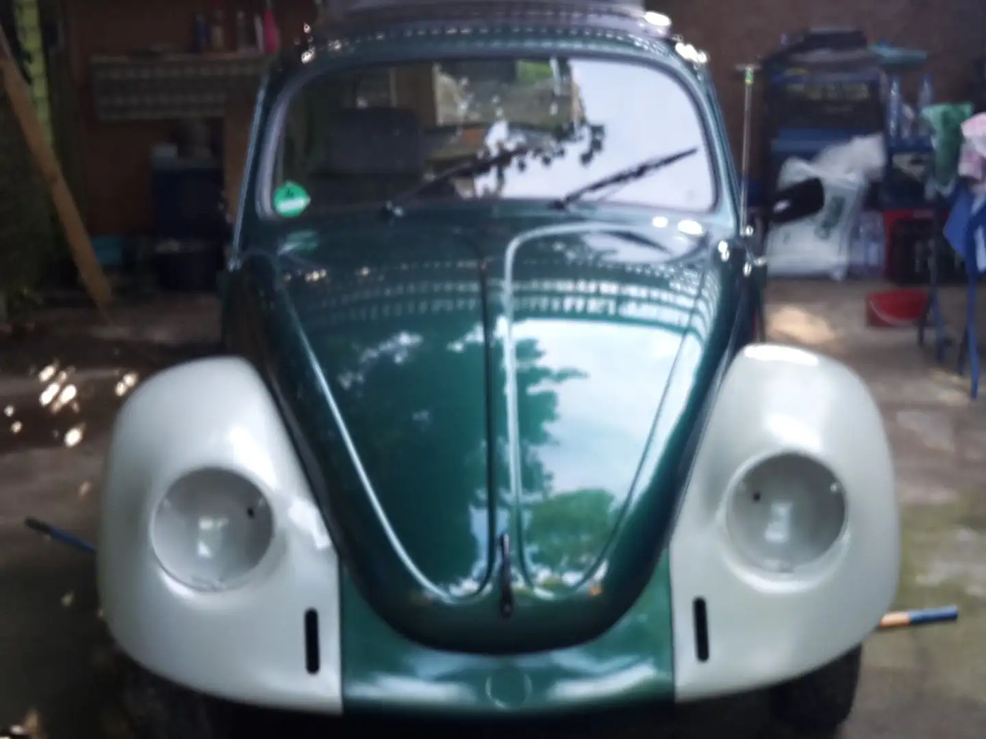 Volkswagen Käfer Verde - 2