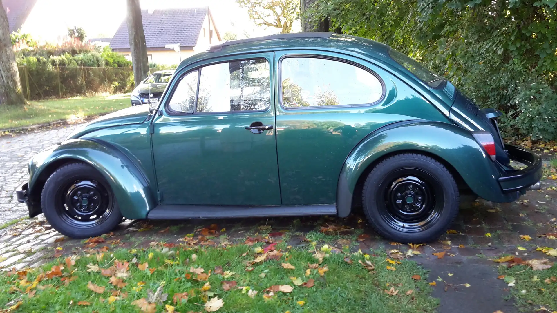 Volkswagen Käfer Verde - 1