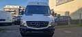 Mercedes-Benz Sprinter 316 CDI (BlueTec) 906.733 BlueEFFICIENCY Blanc - thumbnail 2