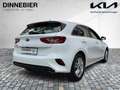 Kia Ceed / cee'd CEED Vision 1.5T |*RFK*Sitzheiz*beheiz.Lenkrad*| F Weiß - thumbnail 5