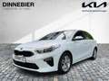 Kia Ceed / cee'd CEED Vision 1.5T |*RFK*Sitzheiz*beheiz.Lenkrad*| F Weiß - thumbnail 2