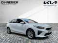 Kia Ceed / cee'd CEED Vision 1.5T |*RFK*Sitzheiz*beheiz.Lenkrad*| F Weiß - thumbnail 7