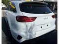 Kia Ceed SW / cee'd SW 1.5T 48V DCT 140 PS ULTIMATE STYLE Navi Klimasitze Weiß - thumbnail 4