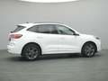 Ford Kuga ST-Line 225PS PHEV Aut./Winter-Paket/Klima Wit - thumbnail 45