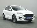 Ford Kuga ST-Line 225PS PHEV Aut./Winter-Paket/Klima Wit - thumbnail 24
