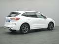 Ford Kuga ST-Line 225PS PHEV Aut./Winter-Paket/Klima Wit - thumbnail 21
