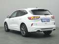 Ford Kuga ST-Line 225PS PHEV Aut./Winter-Paket/Klima Wit - thumbnail 30
