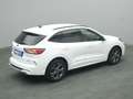 Ford Kuga ST-Line 225PS PHEV Aut./Winter-Paket/Klima Wit - thumbnail 22