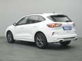 Ford Kuga ST-Line 225PS PHEV Aut./Winter-Paket/Klima Wit - thumbnail 18