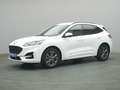 Ford Kuga ST-Line 225PS PHEV Aut./Winter-Paket/Klima Wit - thumbnail 15