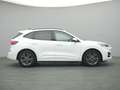 Ford Kuga ST-Line 225PS PHEV Aut./Winter-Paket/Klima Wit - thumbnail 8