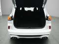 Ford Kuga ST-Line 225PS PHEV Aut./Winter-Paket/Klima Wit - thumbnail 17