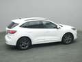 Ford Kuga ST-Line 225PS PHEV Aut./Winter-Paket/Klima Wit - thumbnail 46