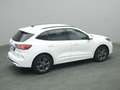 Ford Kuga ST-Line 225PS PHEV Aut./Winter-Paket/Klima Wit - thumbnail 34