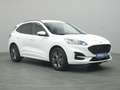 Ford Kuga ST-Line 225PS PHEV Aut./Winter-Paket/Klima Wit - thumbnail 5