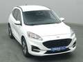 Ford Kuga ST-Line 225PS PHEV Aut./Winter-Paket/Klima Wit - thumbnail 37