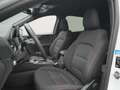 Ford Kuga ST-Line 225PS PHEV Aut./Winter-Paket/Klima Wit - thumbnail 20