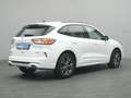 Ford Kuga ST-Line 225PS PHEV Aut./Winter-Paket/Klima Wit - thumbnail 4