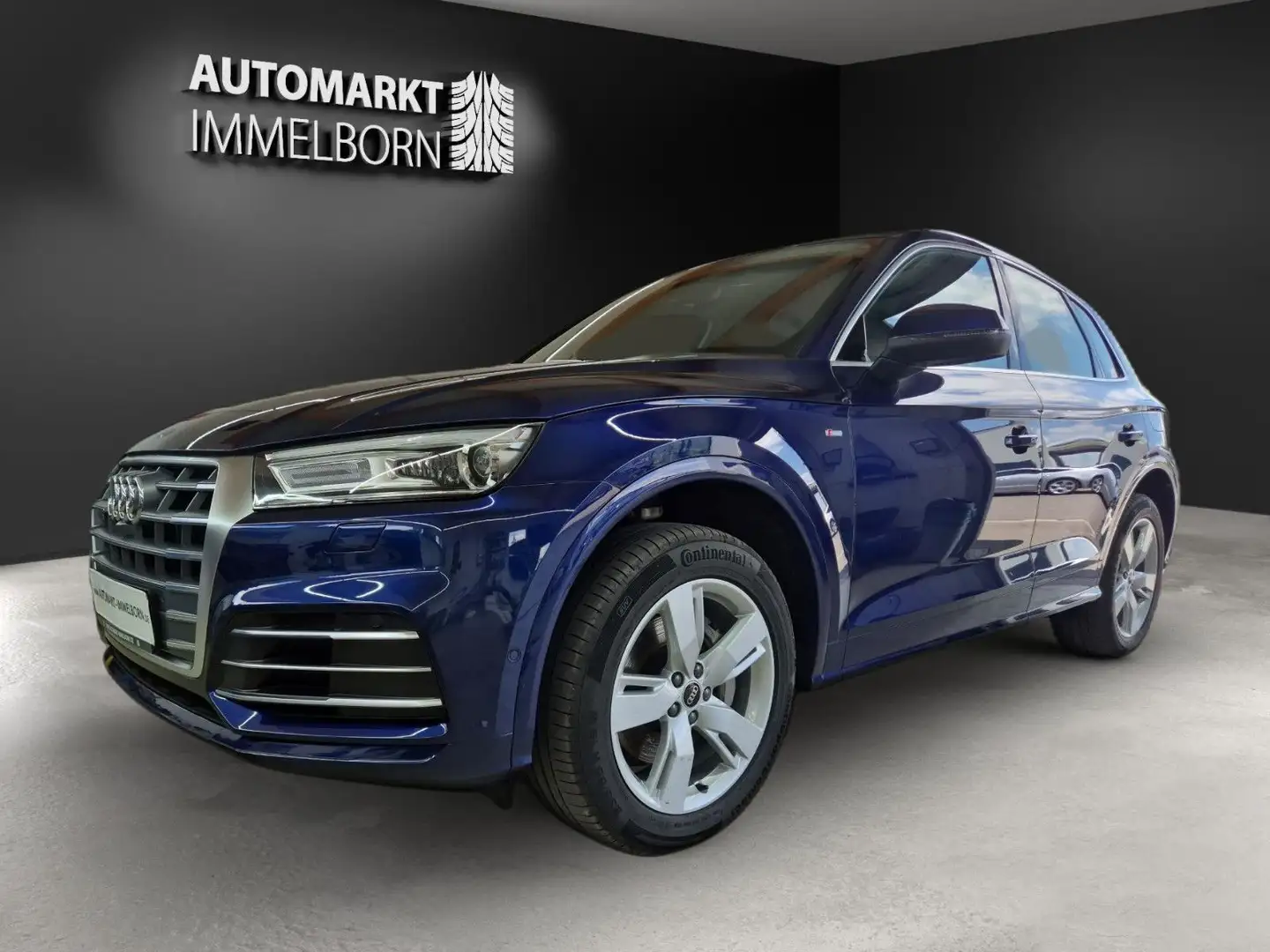 Audi Q5 50 e qu S Line Volleder*19*LED*Navi*360°*VKZ* Blau - 2