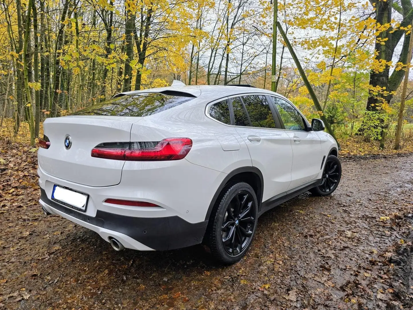 BMW X4 BMW X4 20i Fehér - 1