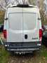 Iveco Daily HKa 35 S ... V Radstand 4100 Blanc - thumbnail 5