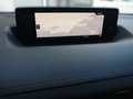 Mazda MX-30 e-SKYACTIV Prime-Line Fernlichtass. HUD LM Schwarz - thumbnail 7