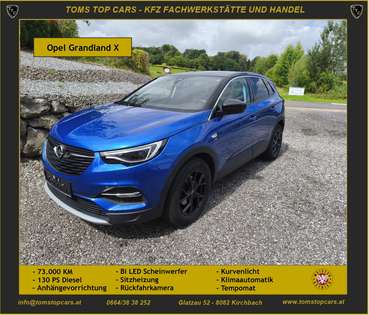 Opel Grandland X Anhängevorr., Sitzhzg., Kamera