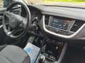 Opel Grandland X Anhängevorr., Sitzhzg., Kamera Blau - thumbnail 20