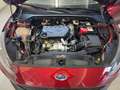 Ford Focus Active 1.5 tdci ecoblue automatica Rood - thumbnail 14