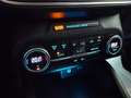 Ford Focus Active 1.5 tdci ecoblue automatica Rood - thumbnail 20