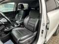 Kia Sorento Platinum Edition 4WD/NAVI/PANO/SCHECKH. Blanco - thumbnail 14