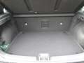 Hyundai i30 N Performance 2.0 TGDi M/T NAVI/LED/DAB+/CAR PLAY Grau - thumbnail 13