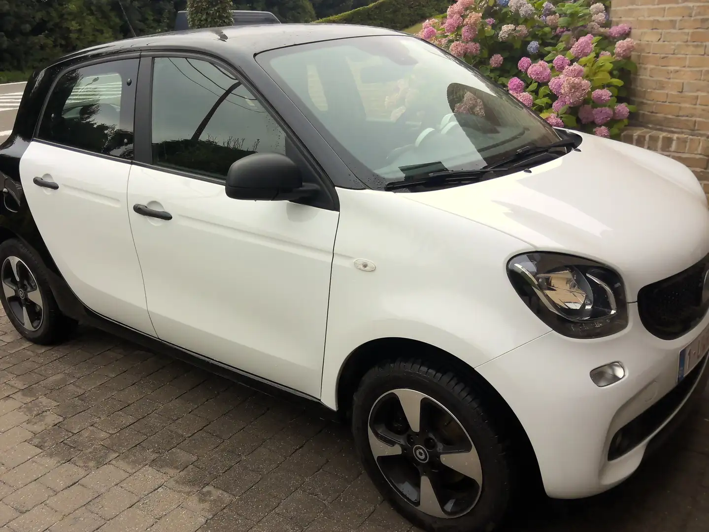 smart forFour Forfour 1.0i Prime (EU6.2) Wit - 1