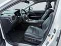 Lexus RX 450h L (hybrid) Executive Line 4AWD*NAVI*PANO*HuD*KLIMA Alb - thumbnail 8