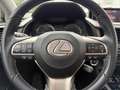Lexus RX 450h L (hybrid) Executive Line 4AWD*NAVI*PANO*HuD*KLIMA Alb - thumbnail 13