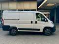 Fiat Ducato 2.3 JTD L1H1 AUTOMATIK KLIMA AHK NAVI CAM Weiß - thumbnail 11