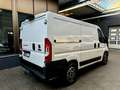 Fiat Ducato 2.3 JTD L1H1 AUTOMATIK KLIMA AHK NAVI CAM Weiß - thumbnail 10
