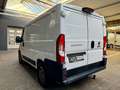 Fiat Ducato 2.3 JTD L1H1 AUTOMATIK KLIMA AHK NAVI CAM Weiß - thumbnail 6