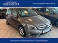 Mercedes-Benz B 200 Sport CDI 7G-DCT SHZ PTS Bi-Xenon Pano Gris - thumbnail 1