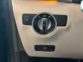 Mercedes-Benz B 200 Sport CDI 7G-DCT SHZ PTS Bi-Xenon Pano Gris - thumbnail 13
