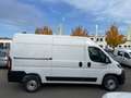 Opel Movano Kastenw 2.2 Diesel 140 L2H2 mit Rückfahrkam Wit - thumbnail 7