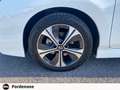 Nissan Leaf Business 40 kWh Bianco - thumbnail 11