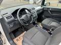 Volkswagen Caddy 2.0 TDI Maxi Comfortline DSG | 7 Sitze Weiß - thumbnail 10