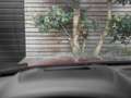 Mazda CX-5 2.5 SkyActiv-G 194 Signature Trekhaak Leer Bose AC Rouge - thumbnail 23