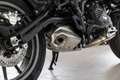 Benelli TRK 502 ABS, sofort Lieferbar, Lieferservice Verde - thumbnail 11