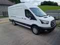 Ford Transit Bus Kasten 2,0 EcoBlue HD L4H3 Trend Weiß - thumbnail 3
